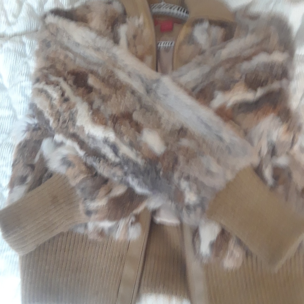 Multi colored rabbit fur